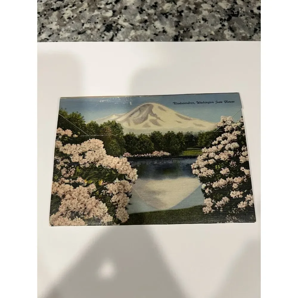 Vintage 40s Souvenir Seattle And Vicinity Fold Out Postcard Booklet